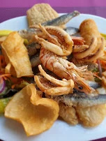 Vorspeisenplatte Warm Gyros Oder Frittierte Kalamari